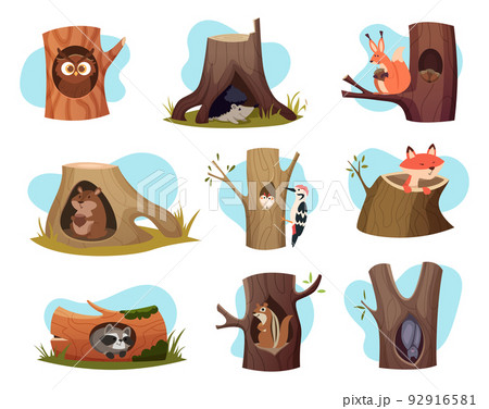 Hollow trees. Cozy houses for wild forest animals exact vector characters Hollow trees. Cozy houses for wild forest animals exact vector characters 92916581