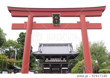 京都市梅宮神社鳥居 92917180