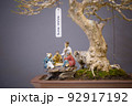 Mini bonsai tree in the flowerpot on bonsai stand a natural background 92917192
