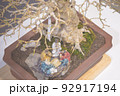 Mini bonsai tree in the flowerpot on bonsai stand a natural background 92917194