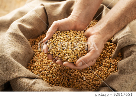 Caucasian male showing soybeans in his hands over burlap sack Caucasian male showing soybeans in his hands over burlap sack 92917651