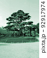 日本庭園の一本松 92917974
