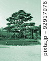 日本庭園の一本松 92917976