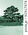 日本庭園の一本松 92917978