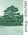 日本庭園の一本松 92917985