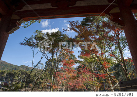 紅葉の醍醐寺 紅葉の醍醐寺 92917991