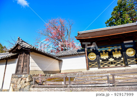 紅葉の醍醐寺 92917999