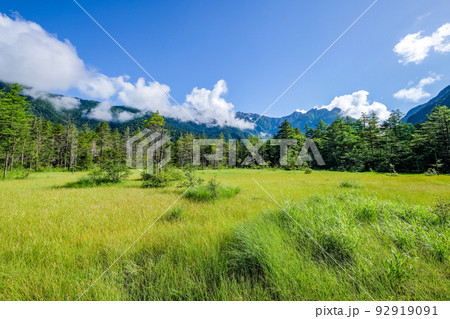 長野県松本市上高地の田代湿原と穂高連峰 長野県松本市上高地の田代湿原と穂高連峰 92919091