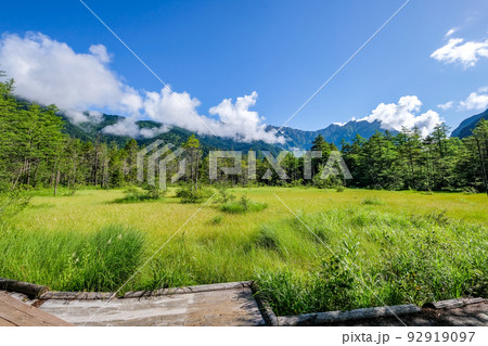 長野県松本市上高地の田代湿原と穂高連峰 長野県松本市上高地の田代湿原と穂高連峰 92919097