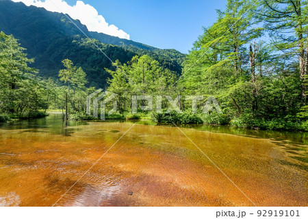 長野県松本市上高地の田代池 長野県松本市上高地の田代池 92919101