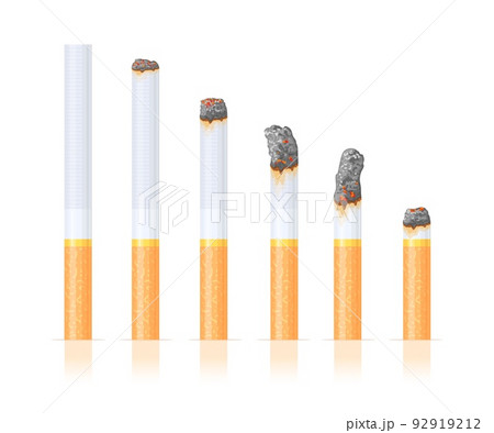 Burn cigarette stages. Burning cigarettes filter tobacco ashes, fire white cigar butt toxic ash products, quit smoke addiction smoker dependence, isolated neat vector illustration Burn cigarette stages. Burning cigarettes filter tobacco ashes, fire white cigar butt toxic ash products, quit smoke addiction smoker dependence, isolated neat vector illustration 92919212