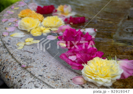 花噴水＃1 92919347