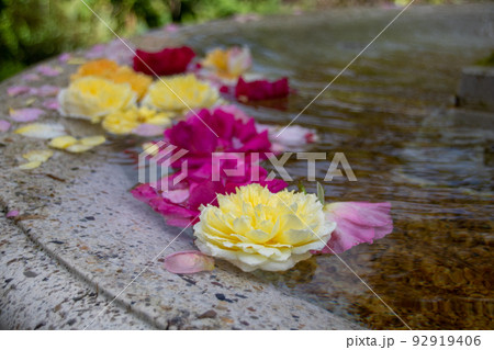 花噴出#2 花噴出#2 92919406