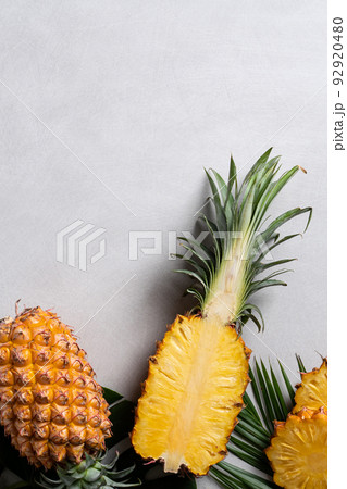 パイナップル パイン パインアップル 92920480