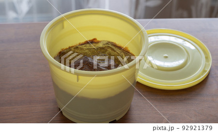 自家製味噌の天地返し後ラップがけ（全体） 92921379