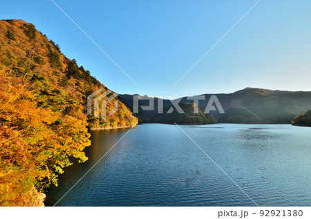 奥多摩湖の紅葉と秋の風景 92921380
