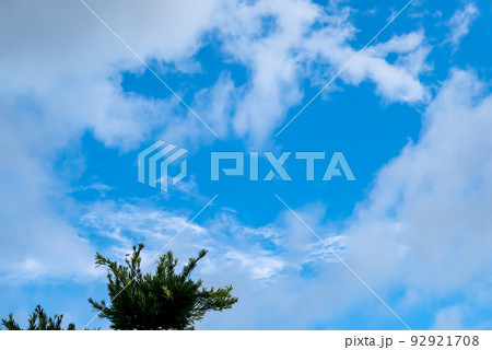 空 0082 空 0082 92921708