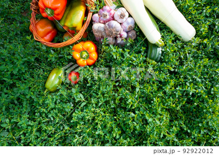 Fresh healthy tomatoes and bell peppers lie in baskets on the green grass 92922012