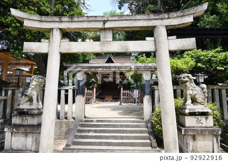 長野神社(鳥居・本殿) 【大阪府河内長野市】 長野神社(鳥居・本殿) 【大阪府河内長野市】 92922916