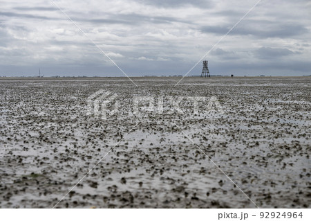 A cape on the Engelmansplaat island in the Wadden Sea in the north of the Netherlands. 92924964