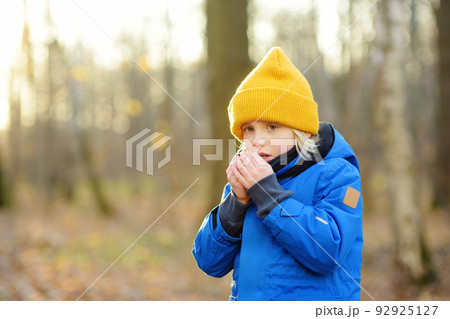 Child warming froze hands during walk in the forest on a cold autumn day. Preschooler boy is having fun while walking through the autumn forest. Family time on nature. Child warming froze hands during walk in the forest on a cold autumn day. Preschooler boy is having fun while walking through the autumn forest. Family time on nature. 92925127