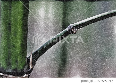 竹 92925147