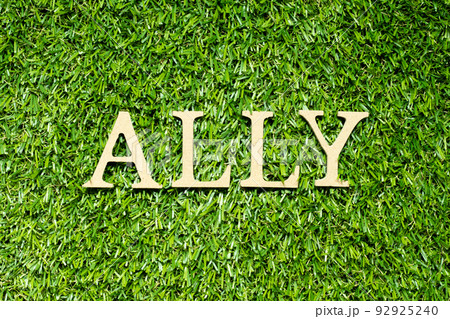 Wood alphabet letter in word ally on green grass background Wood alphabet letter in word ally on green grass background 92925240