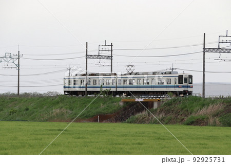 小麦畑と東武佐野線8000系（館林⇔葛生） 92925731
