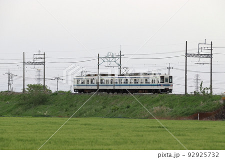 小麦畑と東武佐野線8000系(館林⇔葛生) 小麦畑と東武佐野線8000系(館林⇔葛生) 92925732