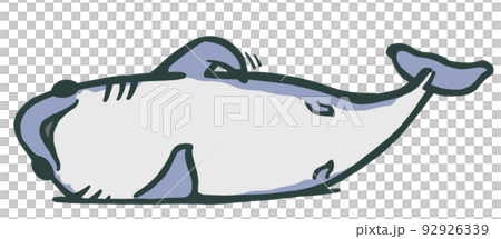 横になって体をかくネズミザメ 92926339