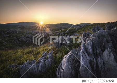 日本三大カルストのひとつ 山口県「秋吉台」 日本三大カルストのひとつ 山口県「秋吉台」 92926928
