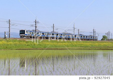 東北本線E531系ワンマン車(回送列車) 東北本線E531系ワンマン車(回送列車) 92927045