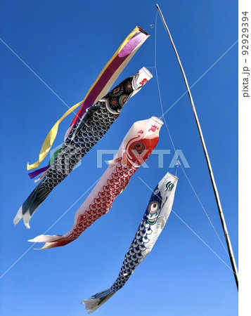 Windsocks in the shape of a carp, traditionally hoisted in celebration of Children's Day in Japan. 92929394