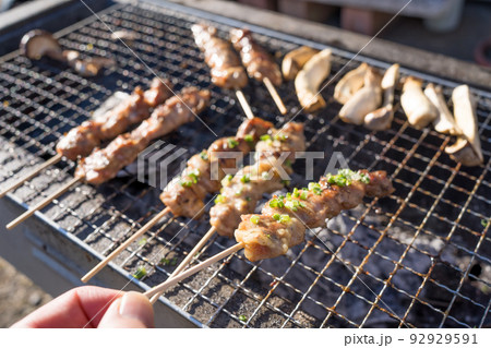 バーベキュー網の上で焼かれた焼き鳥 バーベキュー網の上で焼かれた焼き鳥 92929591