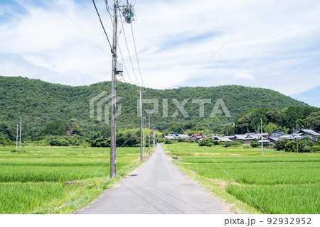 【神明神社】田んぼの奥へ伸びる道 92932952