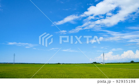 見渡す限りの田んぼ 92935198