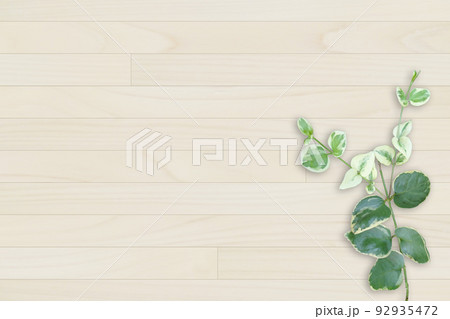 木目素材とグリーン 木目素材とグリーン 92935472