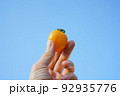 トマト 食べ物 フード 92935776