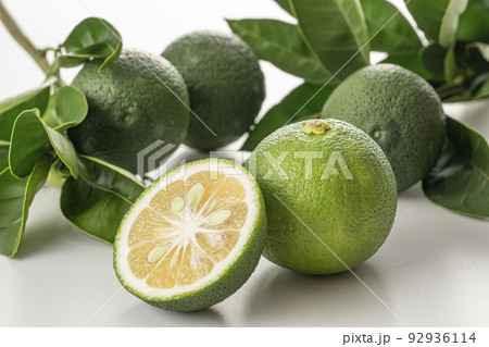 かぼす かぼす 92936114