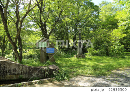 ひるぜん塩釜キャンピングヴィレッジ・塩釜の冷泉 【岡山県真庭市蒜山下福田】 ひるぜん塩釜キャンピングヴィレッジ・塩釜の冷泉 【岡山県真庭市蒜山下福田】 92936500