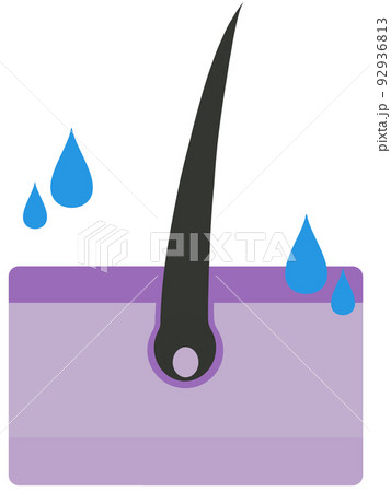 毛根 毛根 92936813