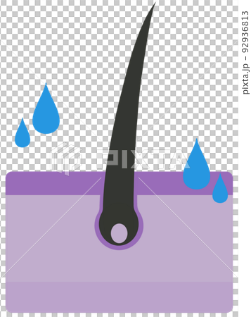 毛根 毛根 92936813