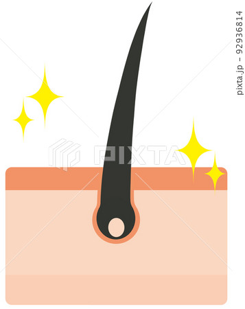 毛根 毛根 92936814