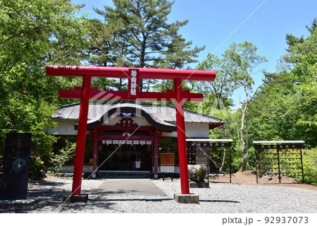 冨士河口湖町　河口湖フィールドセンターの船津胎内神社 92937073