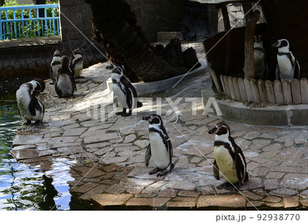 お昼休み終わりです 92938770