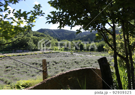 蒜山ハーブガーデン ハービル 【岡山県真庭市蒜山i西茅部】 92939325