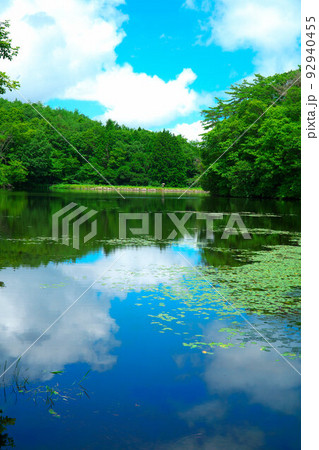 【国指定天然記念物】鯉ヶ窪湿原　夏の空を映す鯉ヶ窪池3　岡山県新見市 92940455