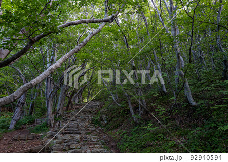 男鹿半島　赤神神社五社堂 92940594