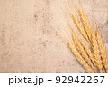 秋の収穫を終えた小麦の穂 92942267
