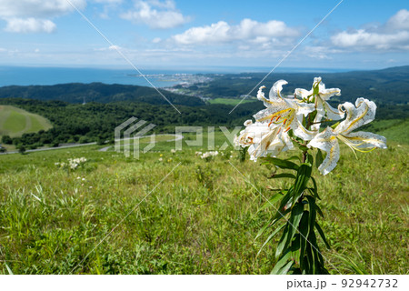 男鹿三山　寒風山 92942732